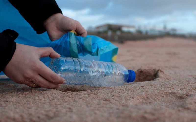 Compromiso social en empresas: guía para verificar